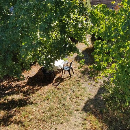 Rendez-Vous Sous Le Tilleul, En Cevennes. Molieres-Cavaillac Zewnętrze zdjęcie